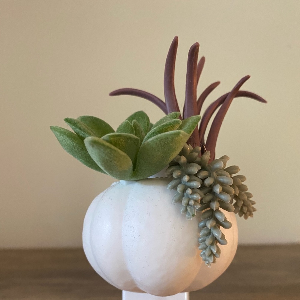 Bath and Body Works Pumpkin Succulent Wallflower